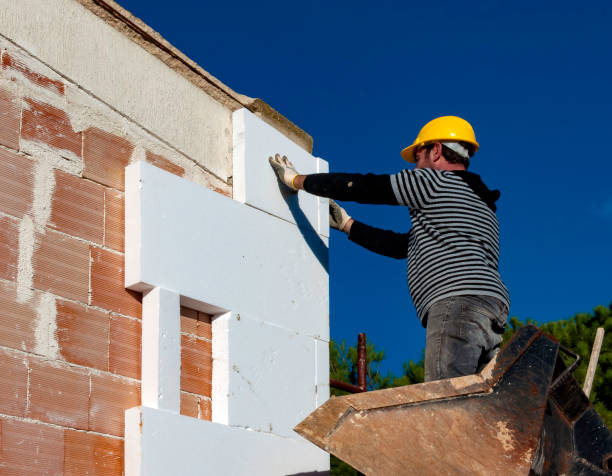 Best Commercial Insulation in Montrose, MN
