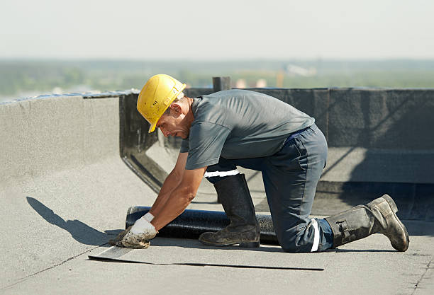 Best Residential Insulation in Montrose, MN